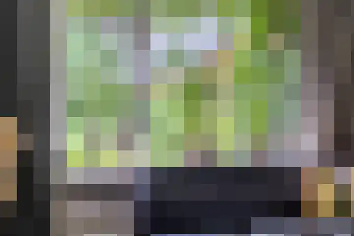 Gentiaanweg 12 Haren Gn thumbnail 16