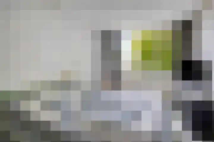 Gentiaanweg 12 Haren Gn thumbnail 37
