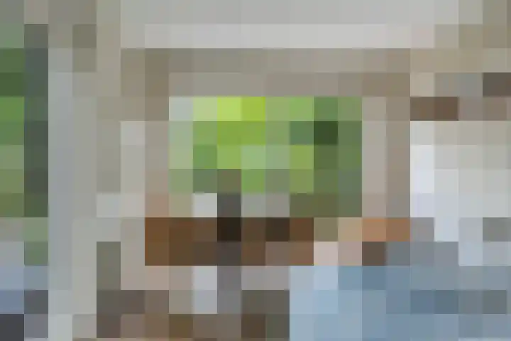 Gentiaanweg 12 Haren Gn thumbnail 4