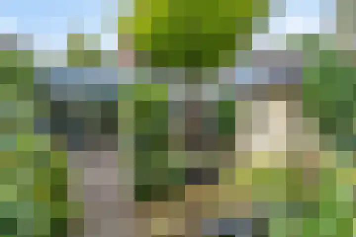 Gentiaanweg 12 Haren Gn thumbnail 5