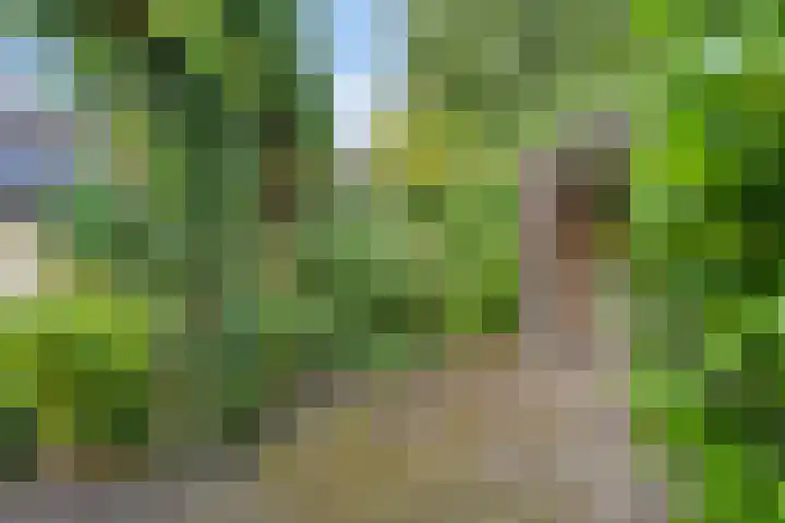 Gentiaanweg 12 Haren Gn thumbnail 53