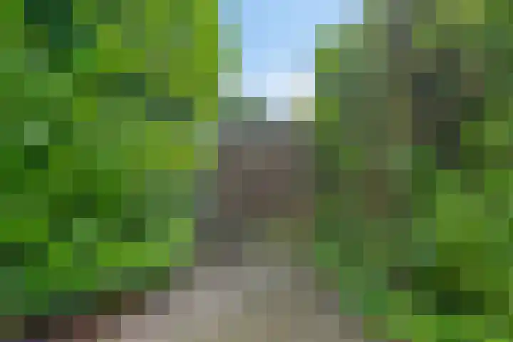 Gentiaanweg 12 Haren Gn thumbnail 54