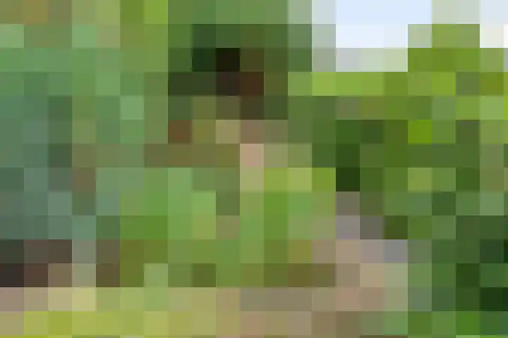 Gentiaanweg 12 Haren Gn thumbnail 58