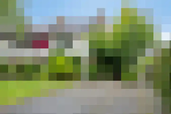 Gentiaanweg 12 Haren Gn thumbnail 61
