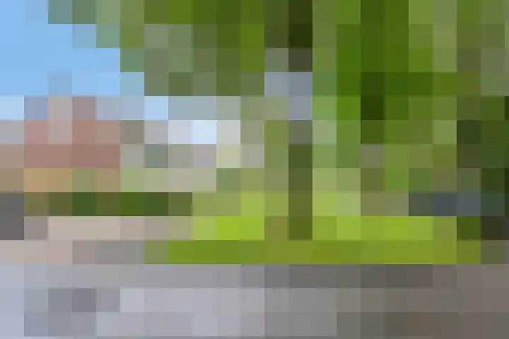 Gentiaanweg 12 Haren Gn thumbnail 62