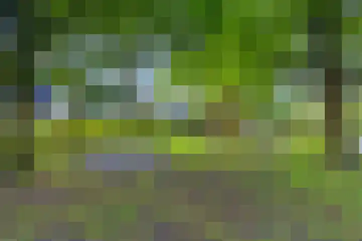 Gentiaanweg 12 Haren Gn thumbnail 64
