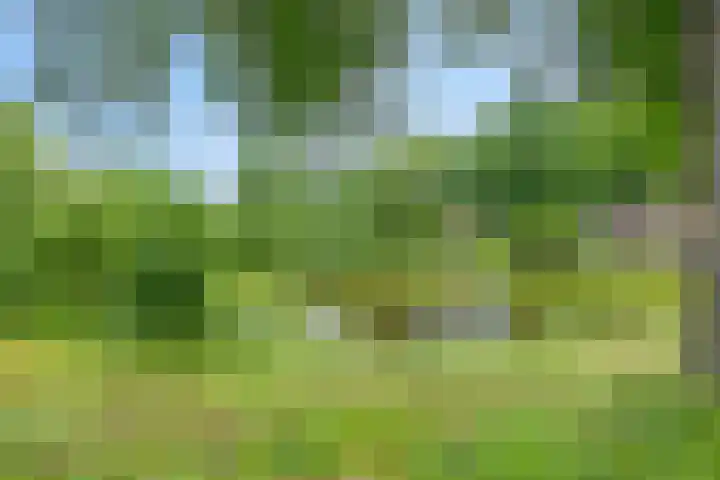 Gentiaanweg 12 Haren Gn thumbnail 65