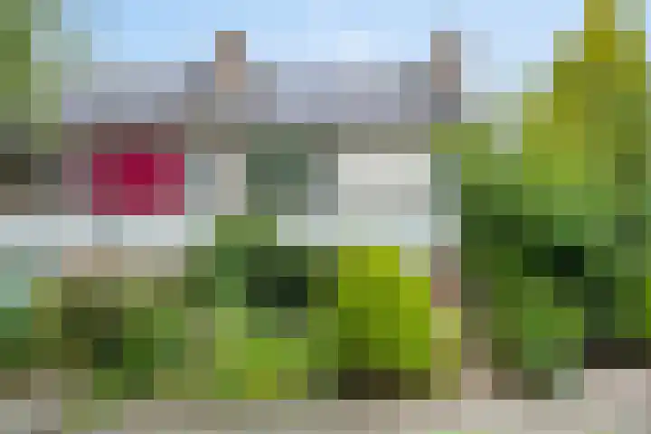 Gentiaanweg 12 Haren Gn thumbnail 9