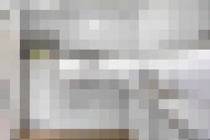 Gentiaanweg 23 Zwolle thumbnail 12