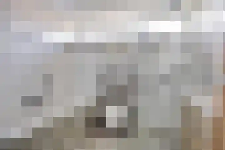 Gentiaanweg 23 Zwolle thumbnail 18