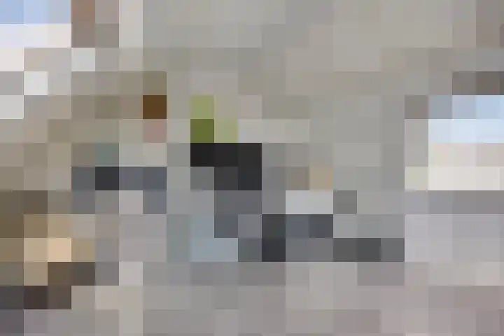 Gentiaanweg 23 Zwolle thumbnail 23