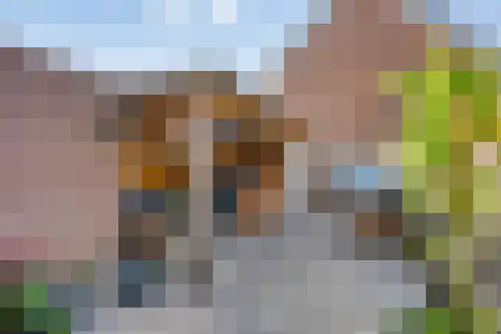 Gentiaanweg 23 Zwolle thumbnail 25
