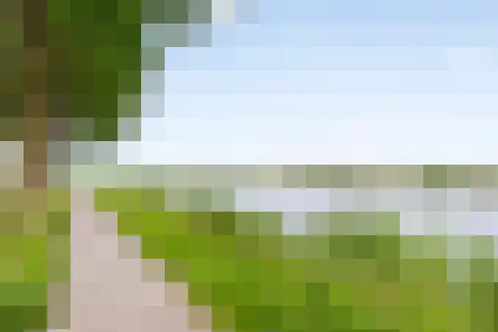 Gentiaanweg 23 Zwolle thumbnail 30