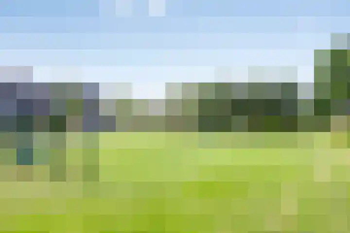 Gentiaanweg 23 Zwolle thumbnail 31