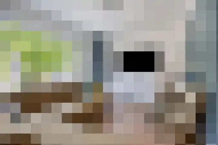 Gentiaanweg 23 Zwolle thumbnail 5