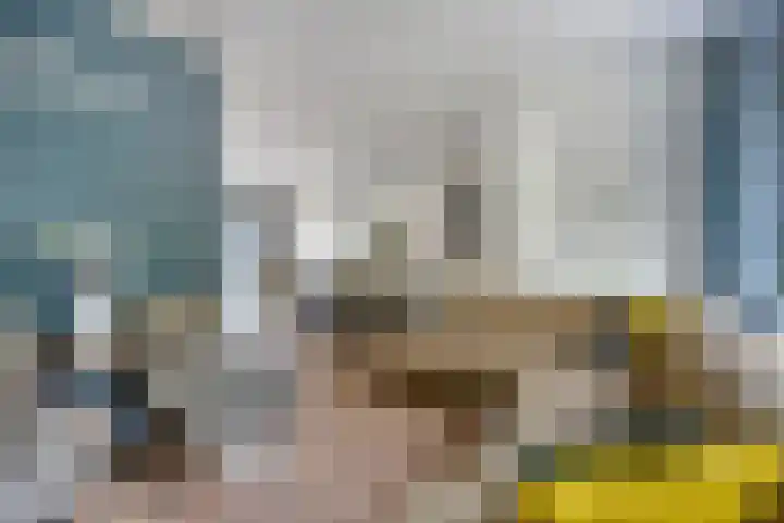 Gentiaanweg 23 Zwolle thumbnail 6