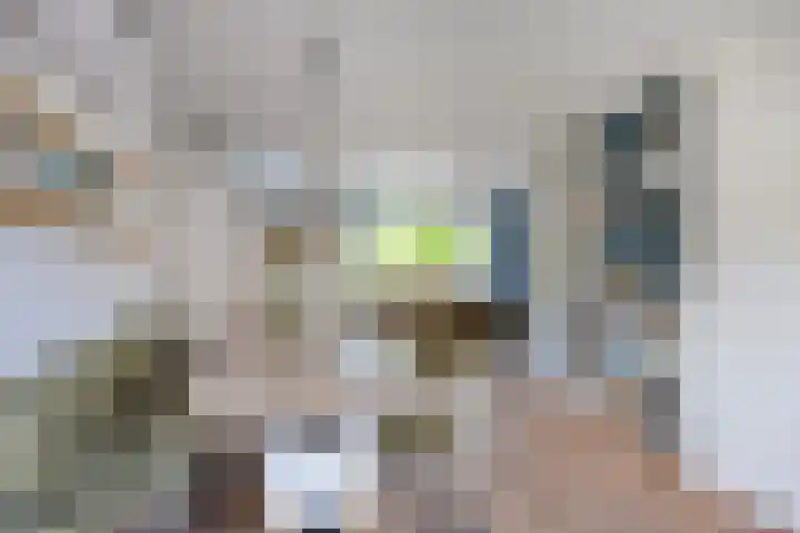 Gentiaanweg 23 Zwolle thumbnail 8