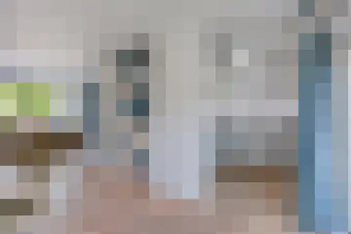 Gentiaanweg 23 Zwolle thumbnail 9