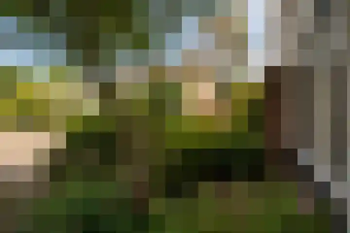 Gentiaanweg 27 Haren Gn thumbnail 10