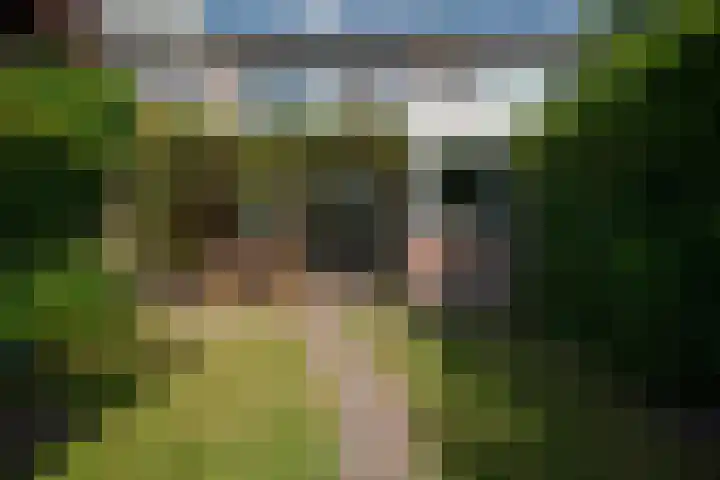 Gentiaanweg 27 Haren Gn thumbnail 4