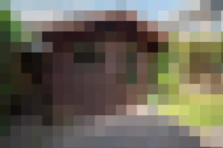 Gentiaanweg 27 Haren Gn thumbnail 44