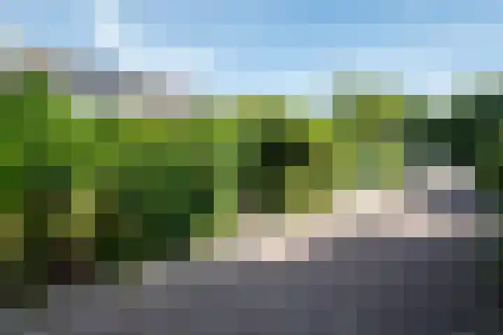 Gentiaanweg 27 Haren Gn thumbnail 45