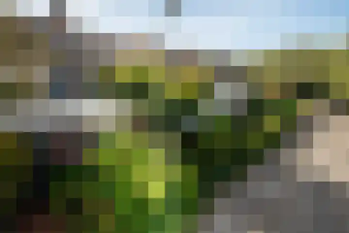 Gentiaanweg 27 Haren Gn thumbnail 5