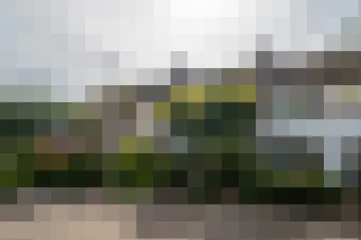 Gentiaanweg 27 Haren Gn thumbnail 53