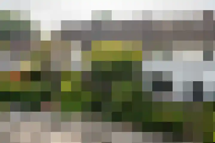 Gentiaanweg 27 Haren Gn thumbnail 7