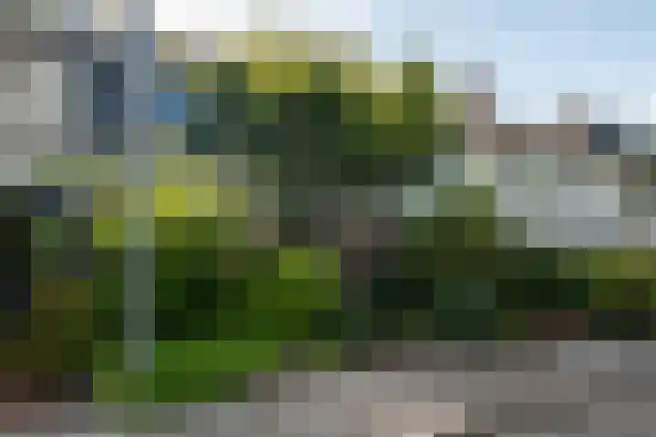 Gentiaanweg 27 Haren Gn thumbnail 8