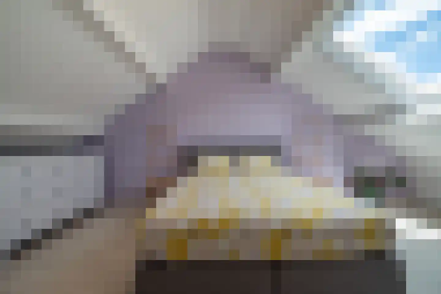 Gentiaanweg 31 Haren Gn thumbnail 32