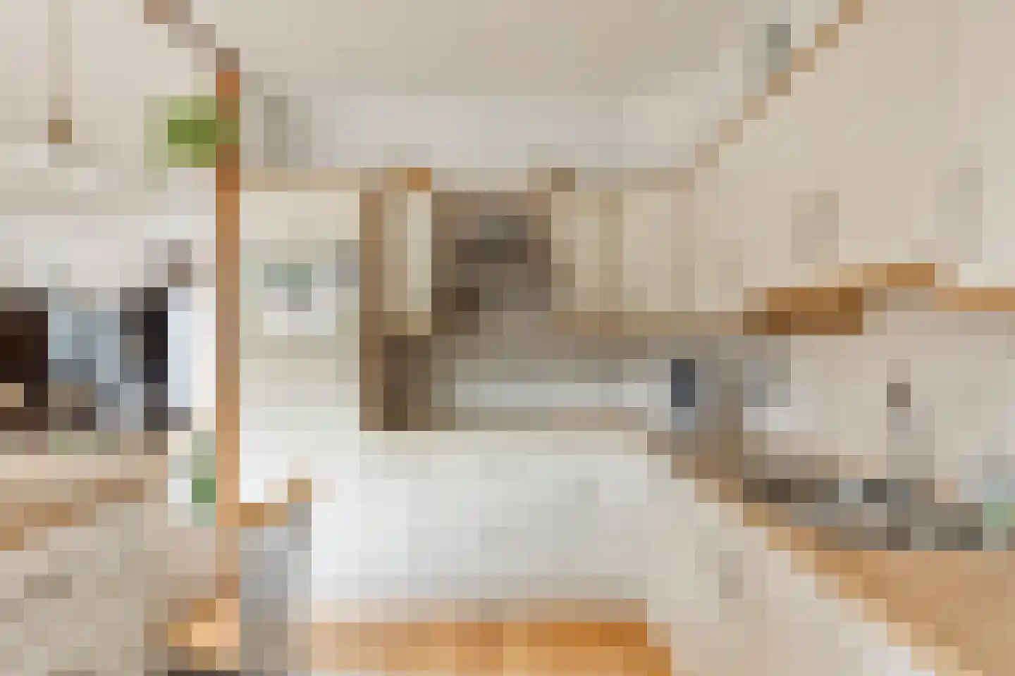 Gentiaanweg 37 Zwolle thumbnail 9