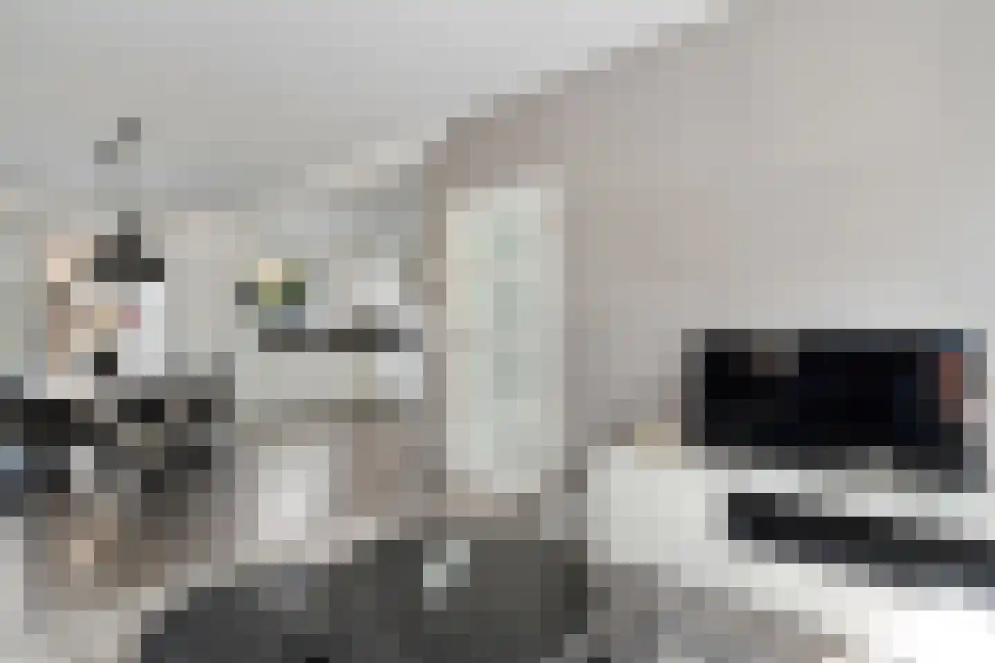 Gentiaanweg 4 Zwolle thumbnail 11