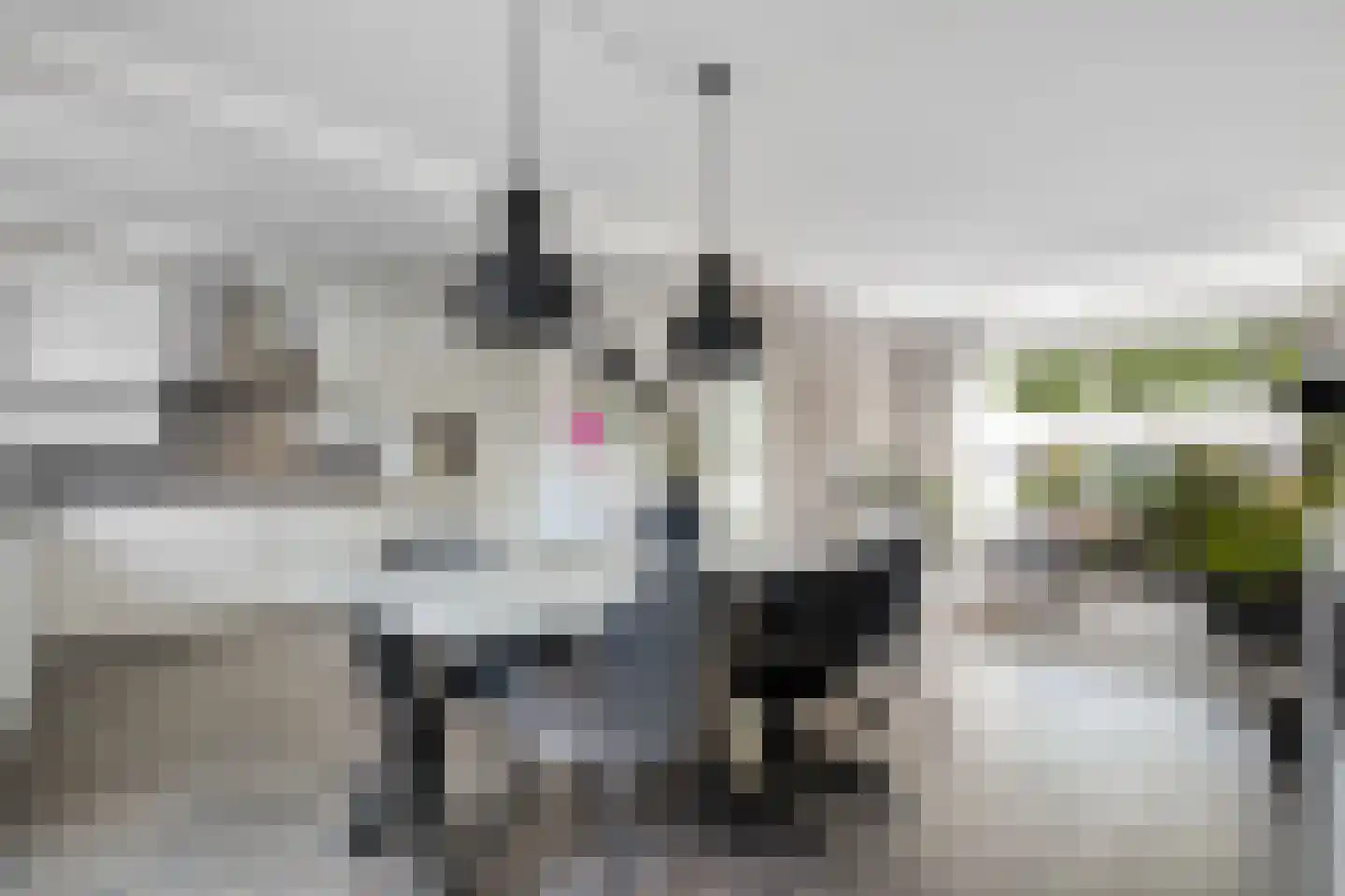 Gentiaanweg 4 Zwolle thumbnail 13