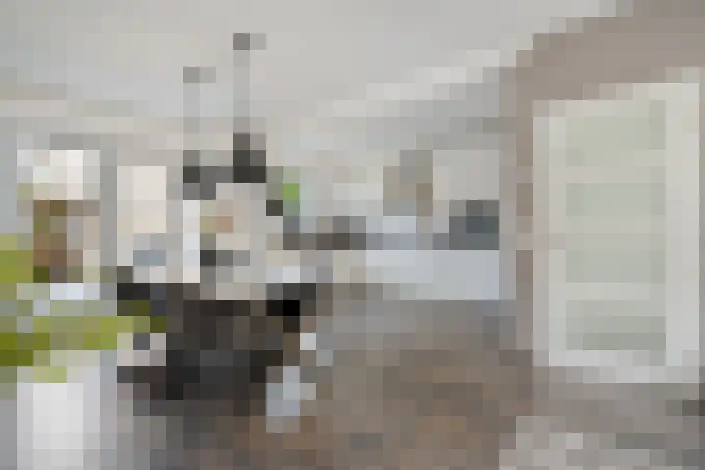 Gentiaanweg 4 Zwolle thumbnail 14