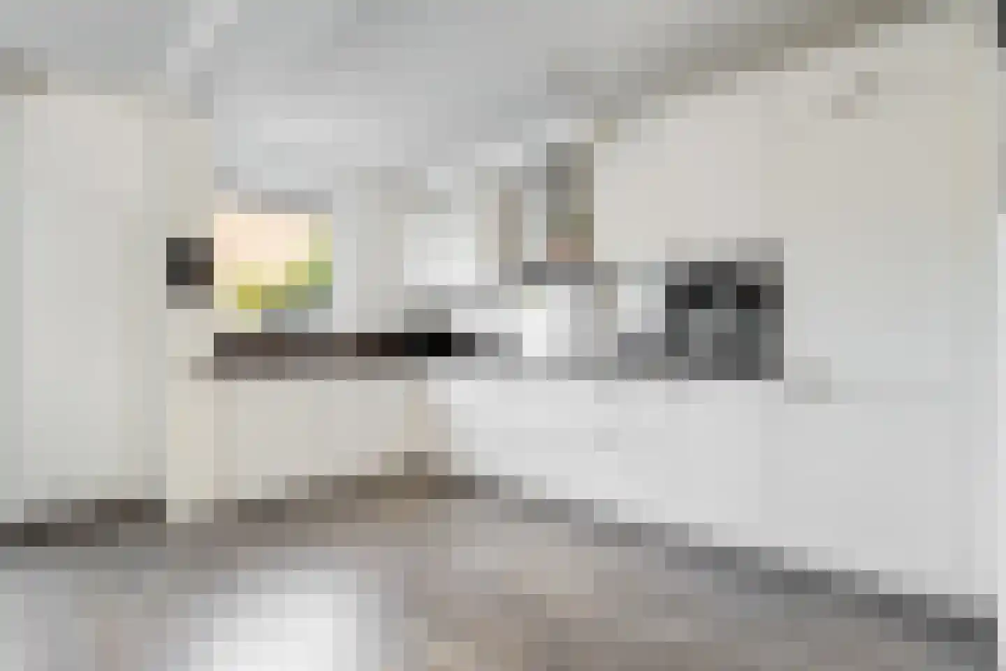 Gentiaanweg 4 Zwolle thumbnail 17