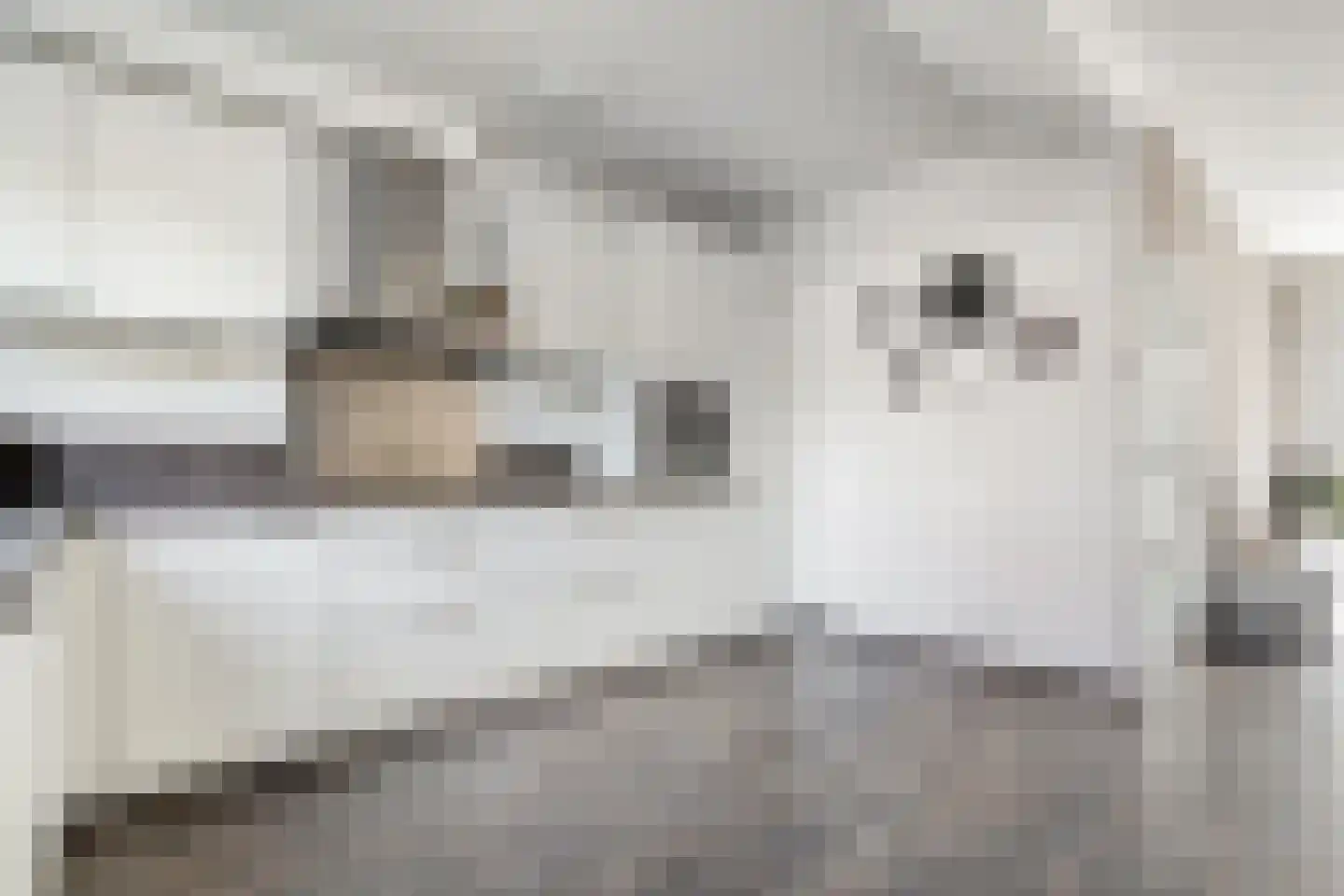 Gentiaanweg 4 Zwolle thumbnail 18