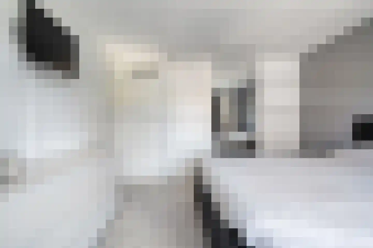 Gentiaanweg 4 Zwolle thumbnail 25