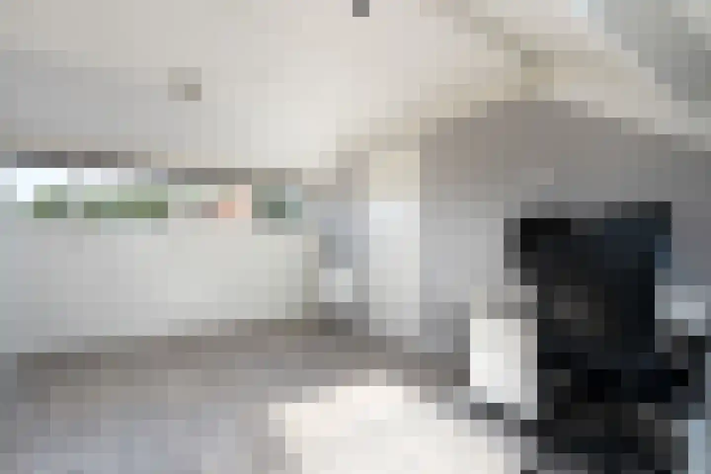 Gentiaanweg 4 Zwolle thumbnail 33