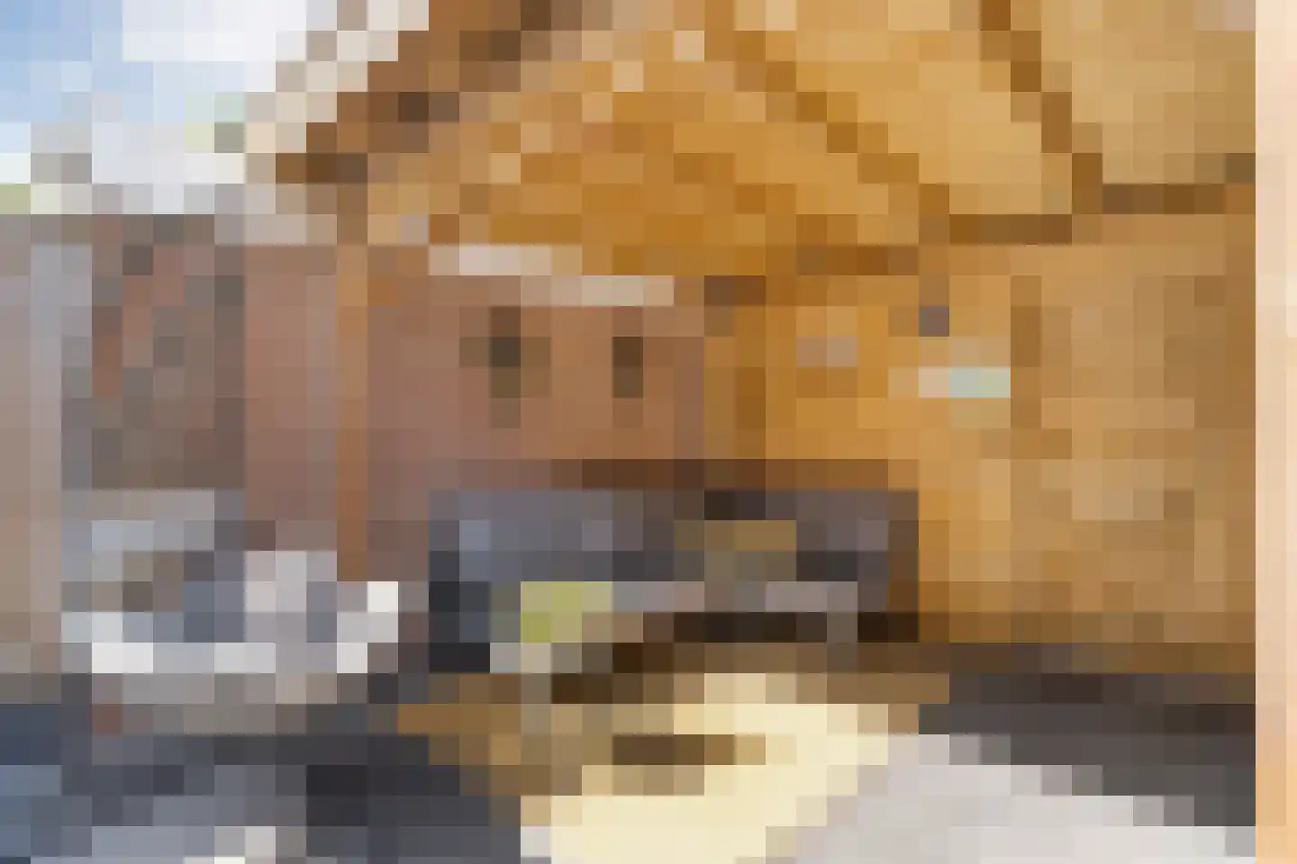 Gentiaanweg 4 Zwolle thumbnail 39