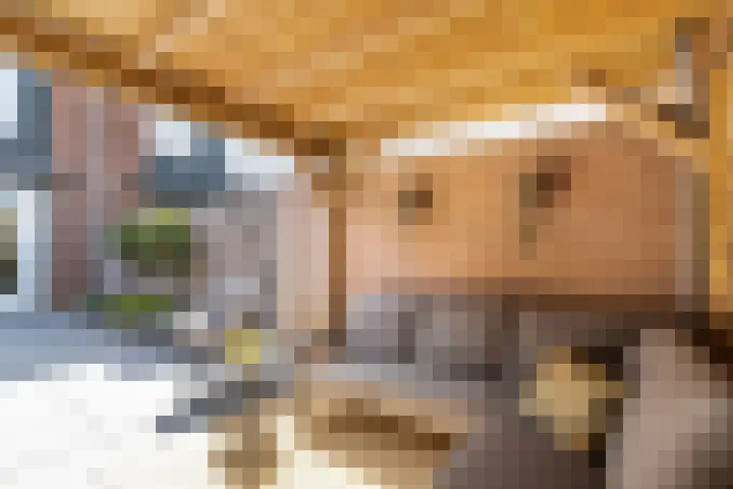 Gentiaanweg 4 Zwolle thumbnail 40