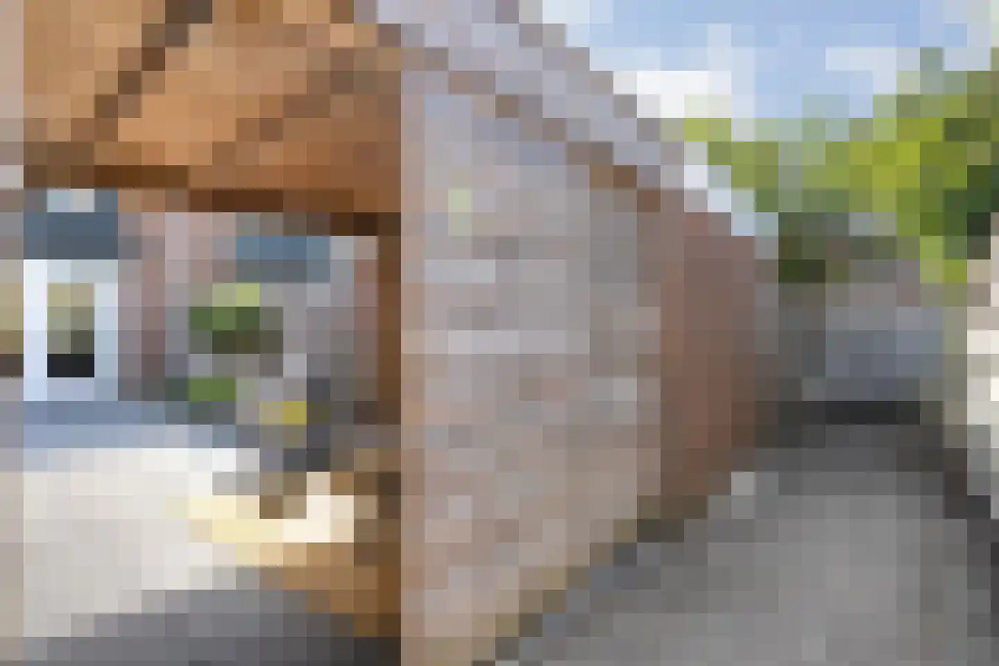 Gentiaanweg 4 Zwolle thumbnail 42