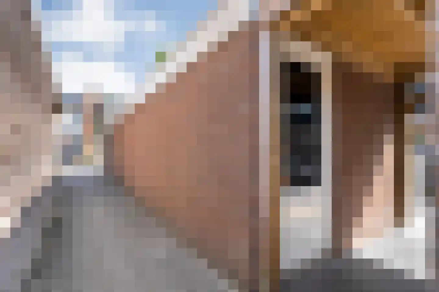 Gentiaanweg 4 Zwolle thumbnail 43