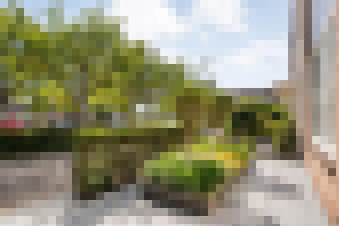 Gentiaanweg 4 Zwolle thumbnail 49