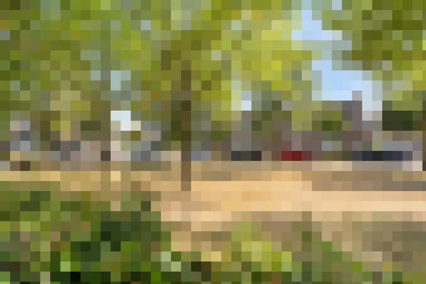 Gentiaanweg 4 Zwolle thumbnail 50