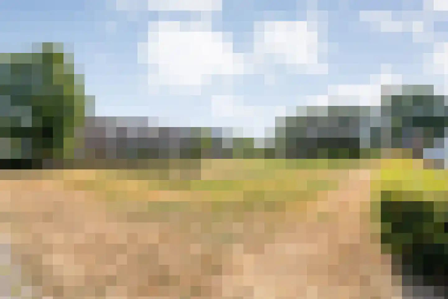Gentiaanweg 4 Zwolle thumbnail 51