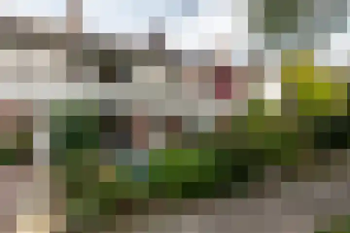 Gentiaanweg 8 Haren Gn thumbnail 10