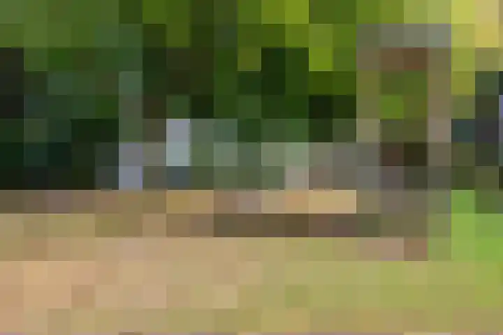 Gentiaanweg 8 Haren Gn thumbnail 11