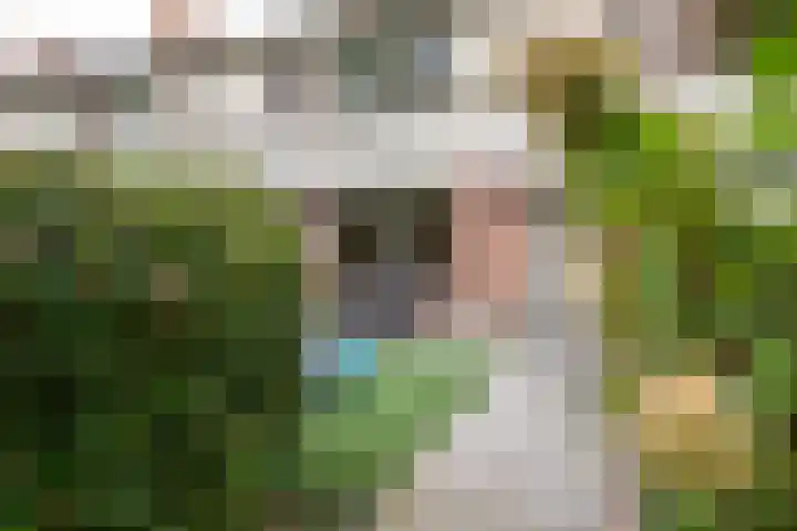 Gentiaanweg 8 Haren Gn thumbnail 13