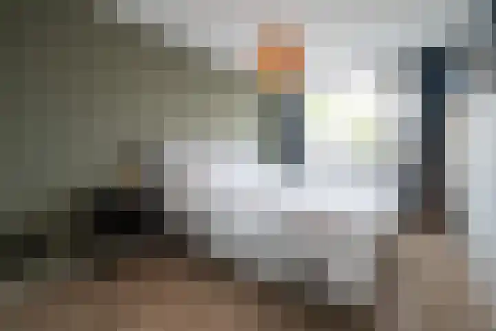 Gentiaanweg 8 Haren Gn thumbnail 33